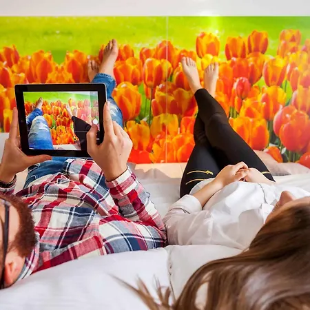 Ibis Styles