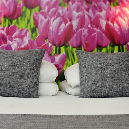 Szálloda Ibis Styles 3*